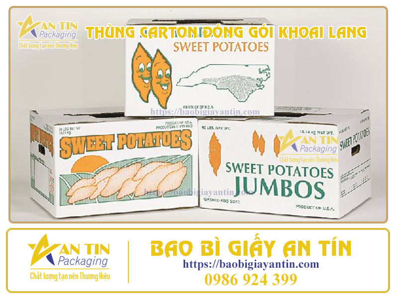 084654-tieu-chi-thung-dong-goi-khoai-lang