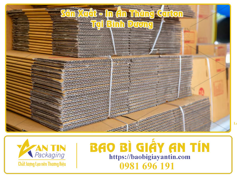 Bao Bì An Tín Địa Chỉ In Thùng Carton Uy Tín Tại Bình Dương