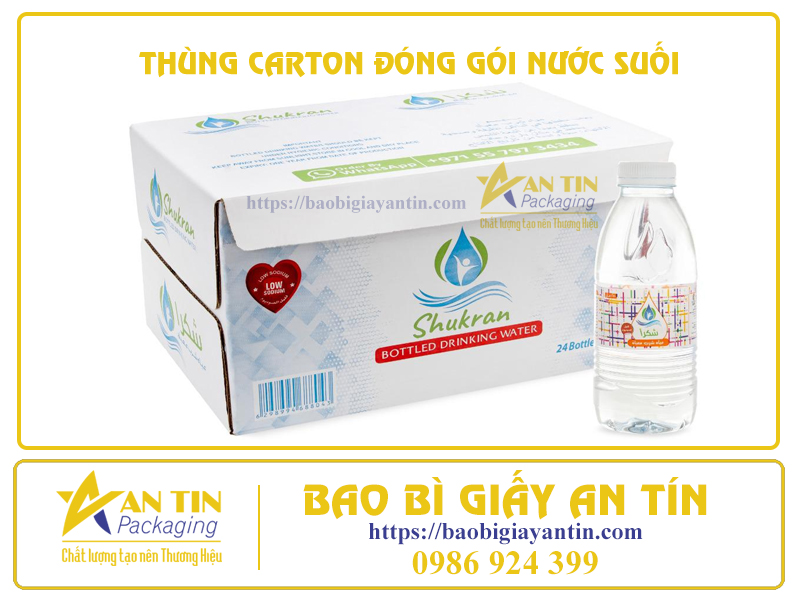 155009-thung-carton-dong-goi-nuoc-suoi-an-tin-2