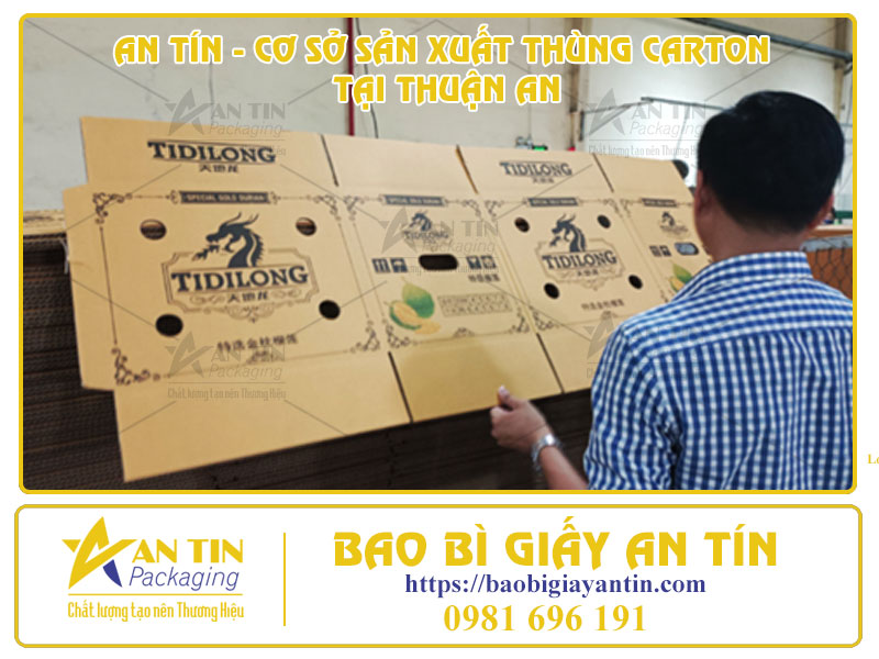 AN TÂM MUA THÙNG CARTON TRỰC TIẾP TẠI AN TÍN – CƠ SỞ SẢN XUẤT TẠI THUẬN AN