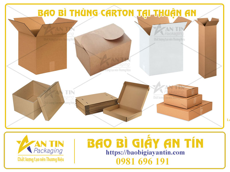 AN TÂM VỚI SỰ CHỌN LỰA HOÀN HẢO – BAO BÌ THÙNG CARTON TẠI THUẬN AN