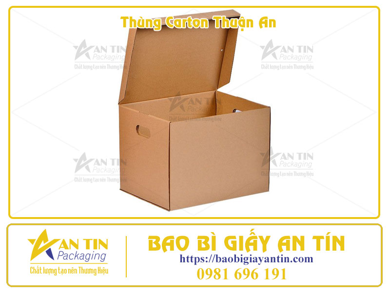 Bạn cần mua thùng carton Thuận An? Đừng bỏ qua những mẹo này để có giá tốt nhất!