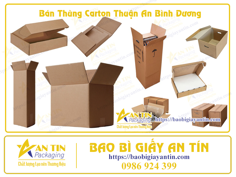 Bán Thùng Carton Thuận An Bình Dương – An Tín Packaging Sự Lựa Chọn Đẳng Cấp Cho Bao Bì Đóng Gói