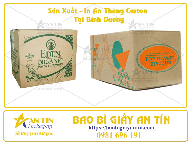 Bao Bì An Tín Địa Chỉ In Thùng Carton Uy Tín Tại Bình Dương