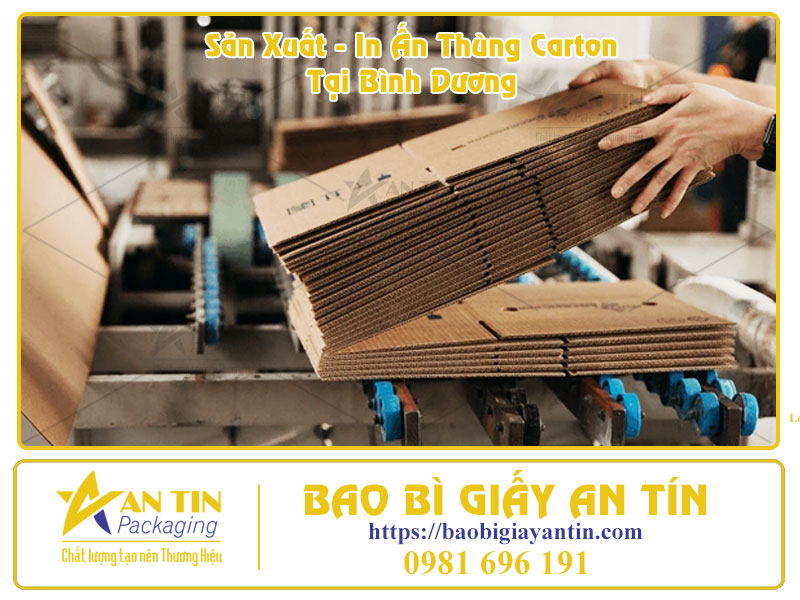 Bao Bì An Tín Địa Chỉ In Thùng Carton Uy Tín Tại Bình Dương