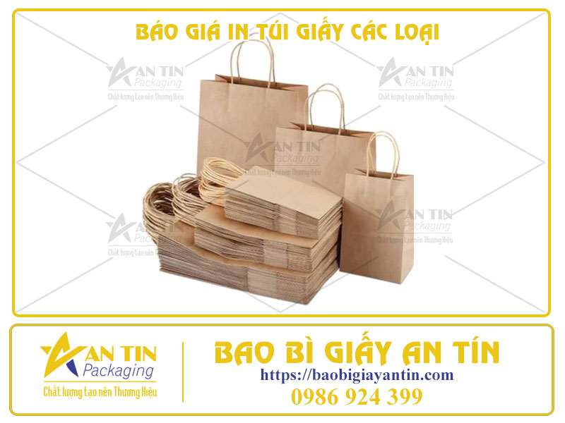 BÁO GIÁ IN TÚI GIẤY CÁC LOẠI THEO YÊU CẦU MỚI NHẤT 2023