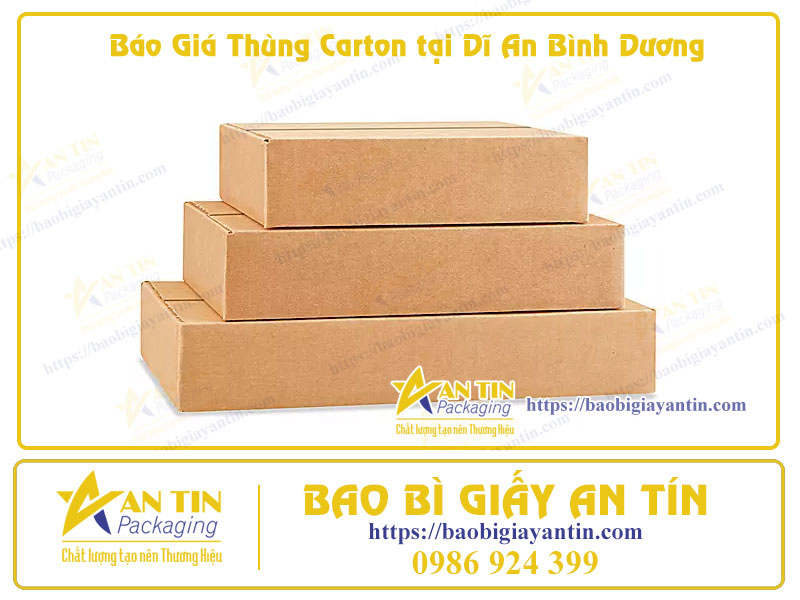 Báo Giá Thùng Carton tại Dĩ An Bình Dương