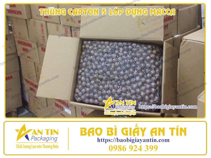 Bảo Quản Tối Ưu Với Thùng Carton 5 Lớp Đựng Macca Chuyên Dụng
