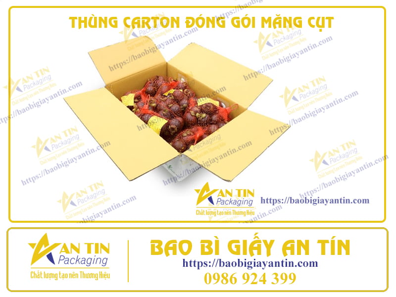 BẢO VỆ TINH HOA TỰ NHIÊN: THÙNG CARTON ĐẶC BIỆT ĐÓNG GÓI MĂNG CỤT TƯƠI NGON