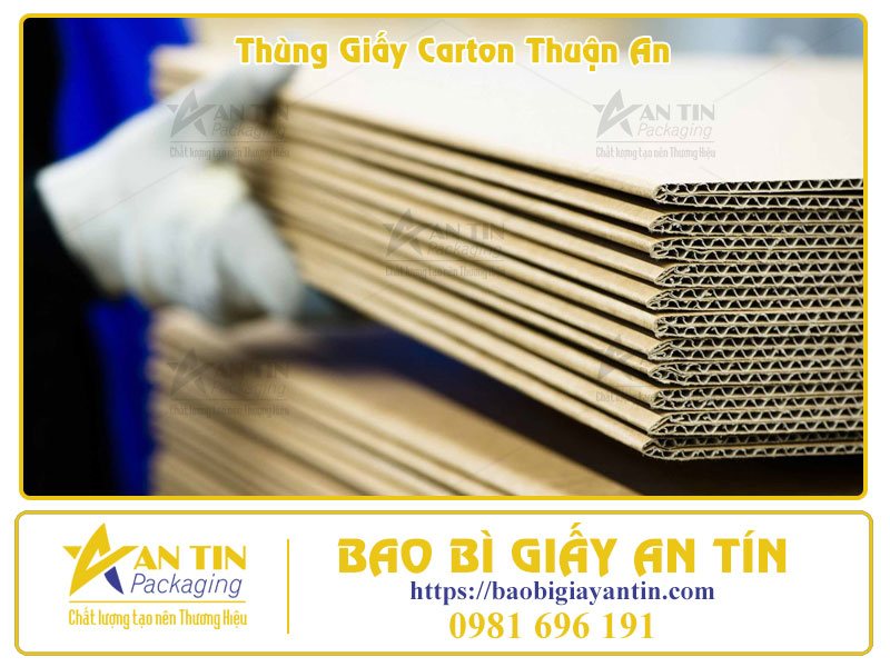 Bắt kịp xu hướng 2025 Nâng tầm thương hiệu với thùng carton tại Thuận An