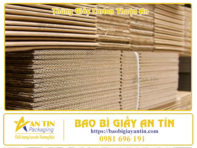 Bắt kịp xu hướng 2025 Nâng tầm thương hiệu với thùng carton tại Thuận An