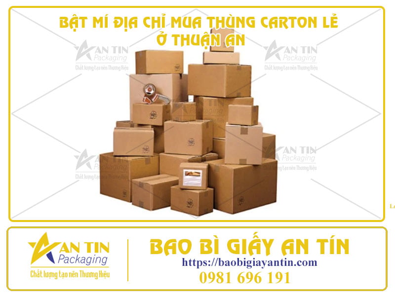 Bật Mí Địa Chỉ Mua Thùng Carton Lẻ Ở Thuận An Với Giá Cực Tốt