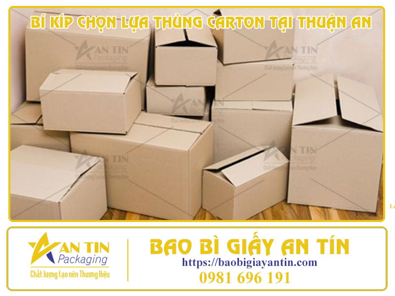 Bí Kíp Chọn Lựa Thùng Carton Tại Thuận An Theo Mục Đích Sử Dụng