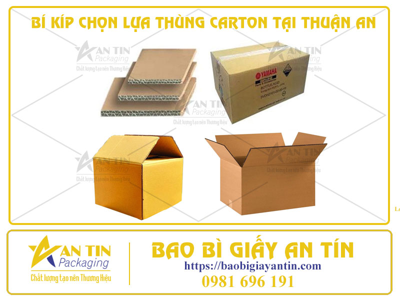BÍ KÍP CHỌN LỰA THÙNG CARTON TẠI THUẬN AN THEO MỤC ĐÍCH SỬ DỤNG