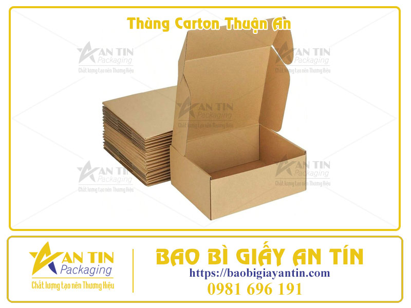 Bí Quyết Chọn Xưởng Thùng Carton Ở Thuận An 5 Tiêu Chí Vàng Để Không Tiền Mất Tật Mang