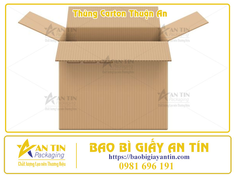 Bí Quyết Chọn Xưởng Thùng Carton Ở Thuận An 5 Tiêu Chí Vàng Để Không Tiền Mất Tật Mang