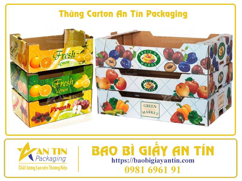Bí Quyết Đóng Gói Trái Cây Trong Thùng Carton Để Giữ Nguyên Hương Vị Tươi Ngon
