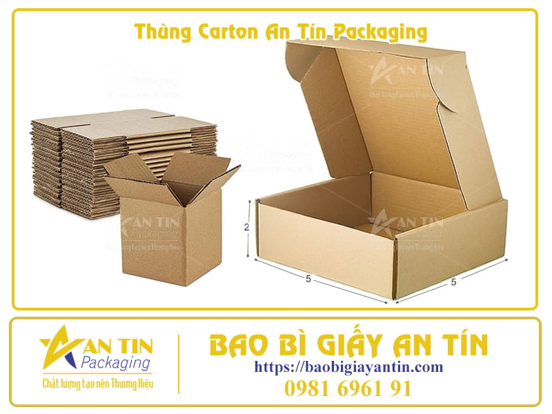 Bí Quyết Đóng Gói Trái Cây Trong Thùng Carton Để Giữ Nguyên Hương Vị Tươi Ngon
