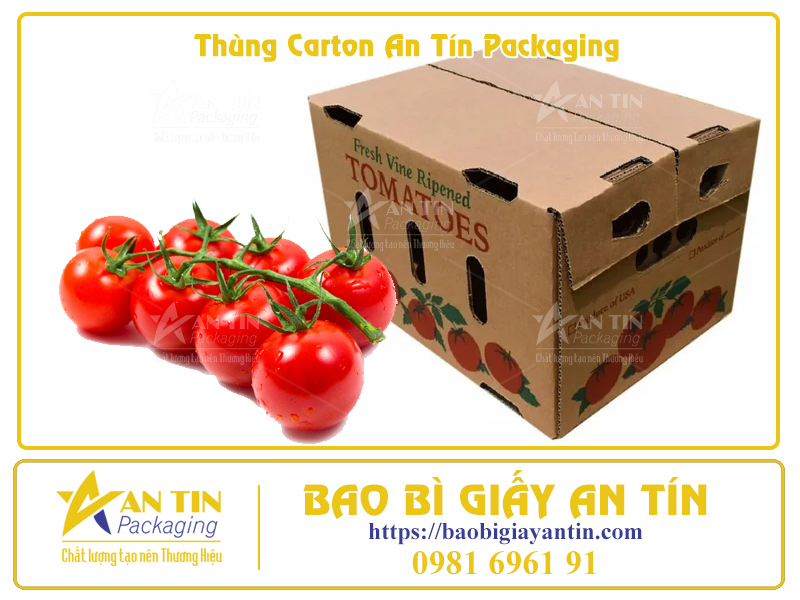 Bí Quyết Đóng Gói Trái Cây Trong Thùng Carton Để Giữ Nguyên Hương Vị Tươi Ngon