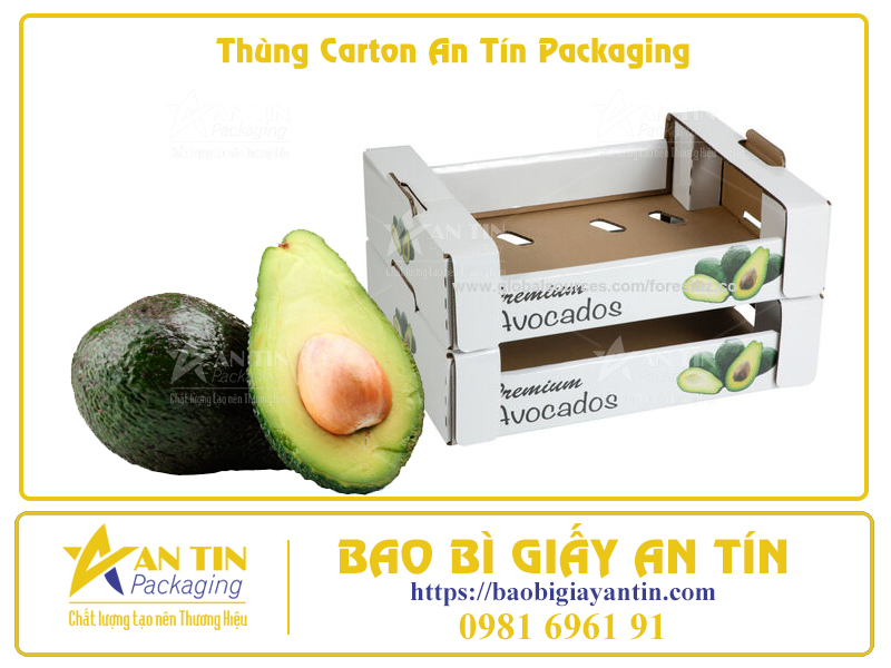 Bí Quyết Đóng Gói Trái Cây Trong Thùng Carton Để Giữ Nguyên Hương Vị Tươi Ngon