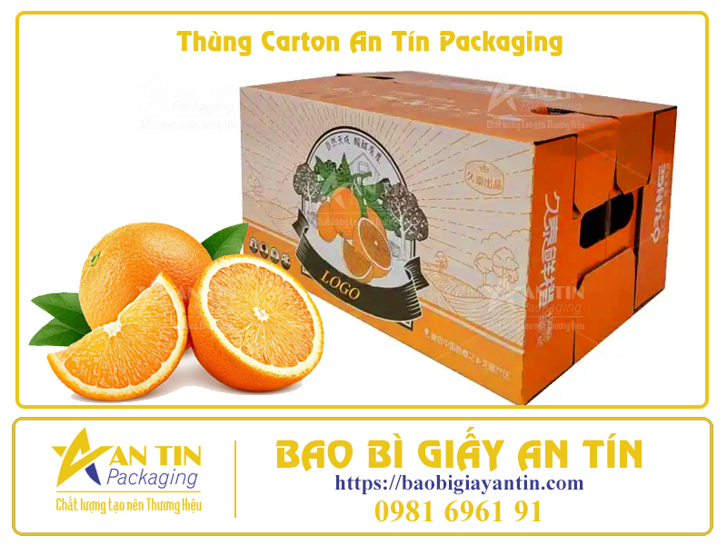 Bí Quyết Đóng Gói Trái Cây Trong Thùng Carton Để Giữ Nguyên Hương Vị Tươi Ngon