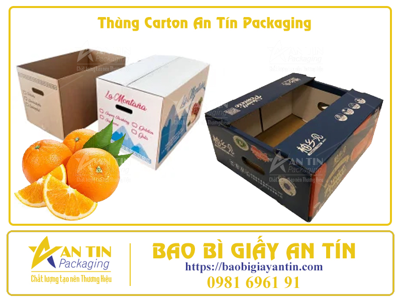 Bí Quyết Đóng Gói Trái Cây Trong Thùng Carton Để Giữ Nguyên Hương Vị Tươi Ngon