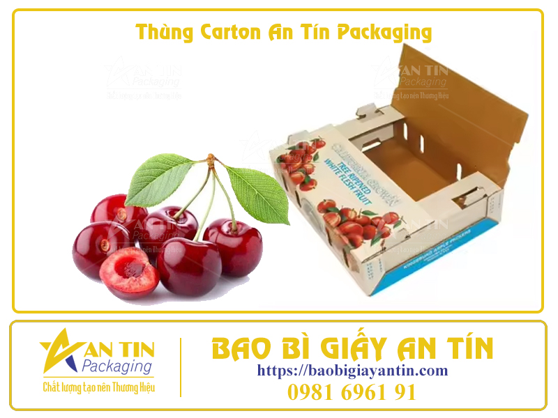 Bí Quyết Đóng Gói Trái Cây Trong Thùng Carton Để Giữ Nguyên Hương Vị Tươi Ngon