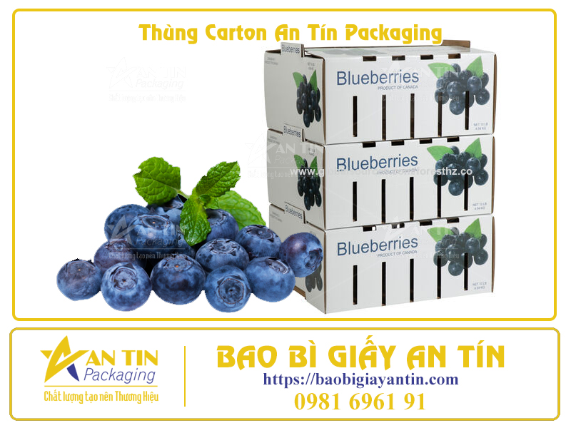 Bí Quyết Đóng Gói Trái Cây Trong Thùng Carton Để Giữ Nguyên Hương Vị Tươi Ngon