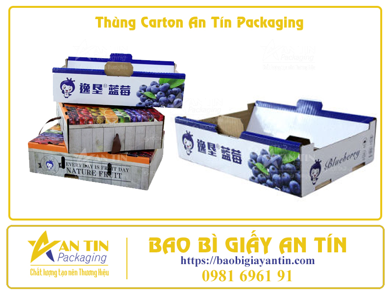 Bí Quyết Đóng Gói Trái Cây Trong Thùng Carton Để Giữ Nguyên Hương Vị Tươi Ngon