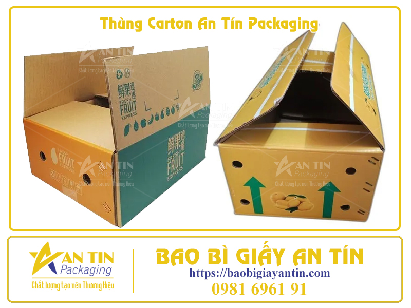Bí Quyết Đóng Gói Trái Cây Trong Thùng Carton Để Giữ Nguyên Hương Vị Tươi Ngon