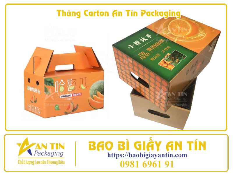 Bí Quyết Đóng Gói Trái Cây Trong Thùng Carton Để Giữ Nguyên Hương Vị Tươi Ngon
