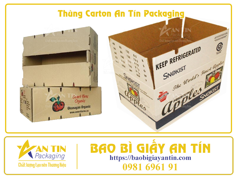 Bí Quyết Đóng Gói Trái Cây Trong Thùng Carton Để Giữ Nguyên Hương Vị Tươi Ngon
