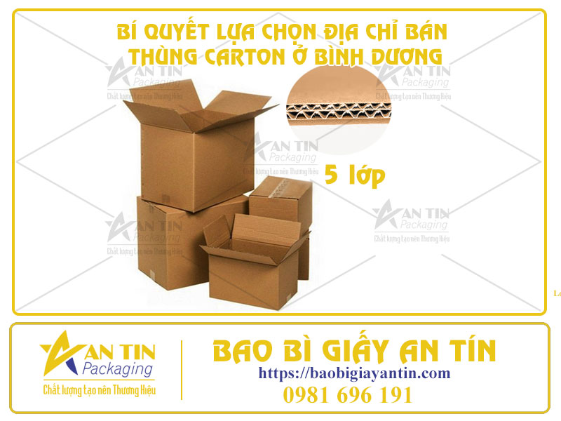 Bí Quyết Lựa Chọn Địa Chỉ Bán Thùng Carton Ở Bình Dương - Chất Lượng Và Tiết Kiệm