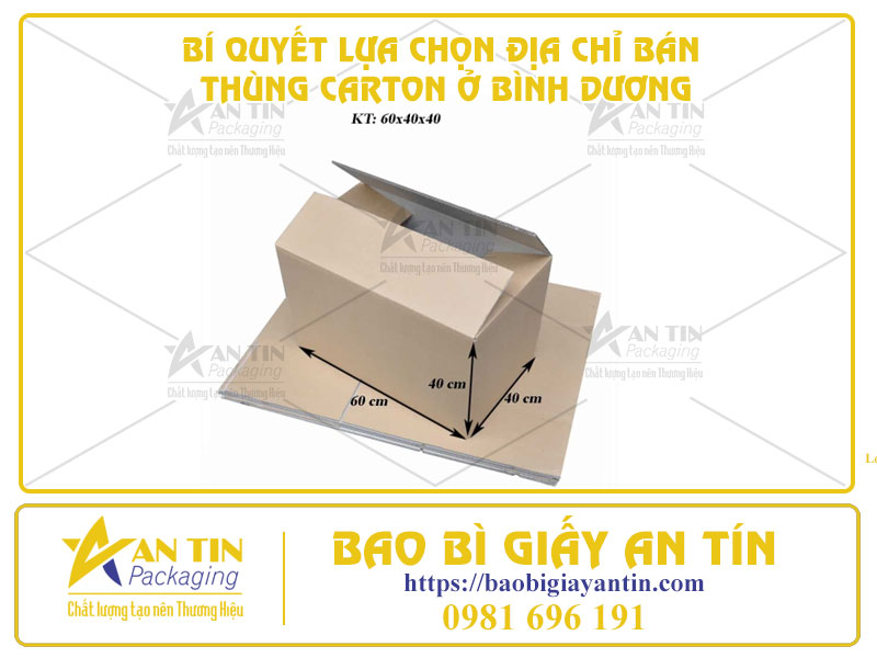 Bí Quyết Lựa Chọn Địa Chỉ Bán Thùng Carton Ở Bình Dương - Chất Lượng Và Tiết Kiệm