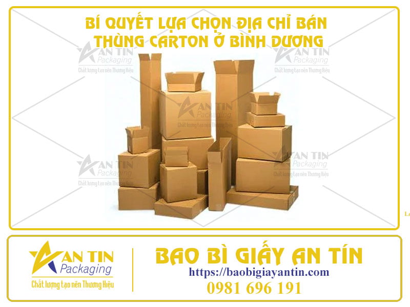 Bí Quyết Lựa Chọn Địa Chỉ Bán Thùng Carton Ở Bình Dương - Chất Lượng Và Tiết Kiệm