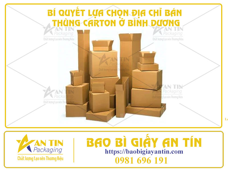 BÍ QUYẾT LỰA CHỌN ĐỊA CHỈ BÁN THÙNG CARTON Ở BÌNH DƯƠNG – CHẤT LƯỢNG VÀ TIẾT KIỆM
