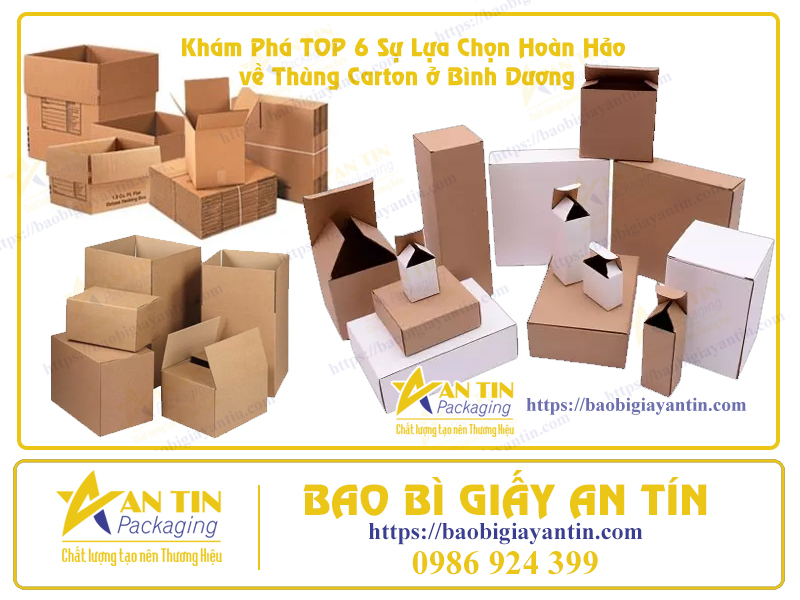 Các loại thùng hộp carton tại Bình Dương