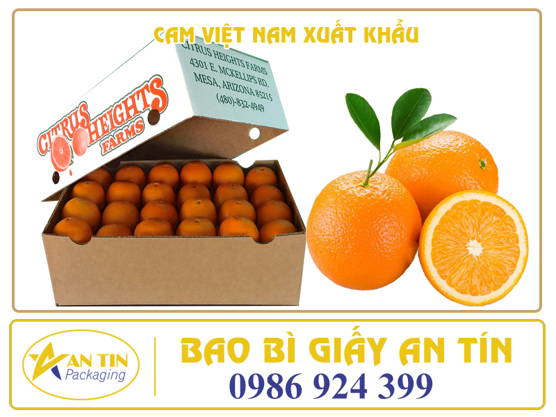 CAM VIỆT NAM XUẤT KHẨU CƠ HỘI VÀ THÁCH THỨC