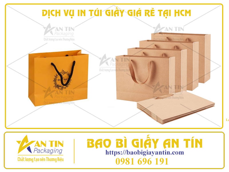 CHẤT LƯỢNG VÀ TIẾT KIỆM CÙNG DỊCH VỤ IN TÚI GIẤY GIÁ RẺ TẠI HCM