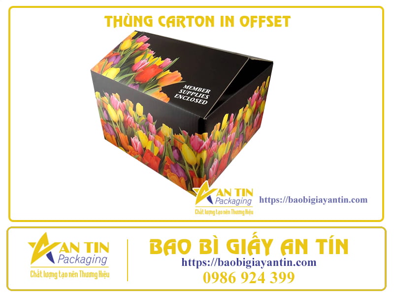 CHẤT LƯỢNG VƯỢT TRỘI VÀ TIẾT KIỆM – THÙNG CARTON 3 LỚP IN OFFSET