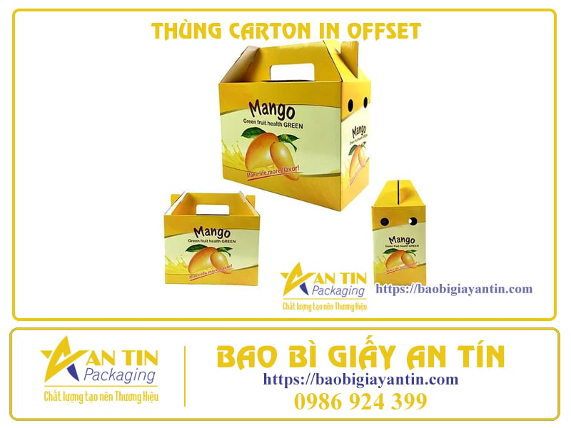 chat-luong-vuot-troi-va-tiet-kiem-thung-carton-3-lop-in-offset-03 Chất Lượng Vượt Trội Và Tiết Kiệm - Thùng Carton 3 Lớp In Offset