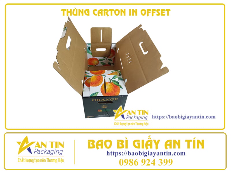 chat-luong-vuot-troi-va-tiet-kiem-thung-carton-3-lop-in-offset-04 Chất Lượng Vượt Trội Và Tiết Kiệm - Thùng Carton 3 Lớp In Offset