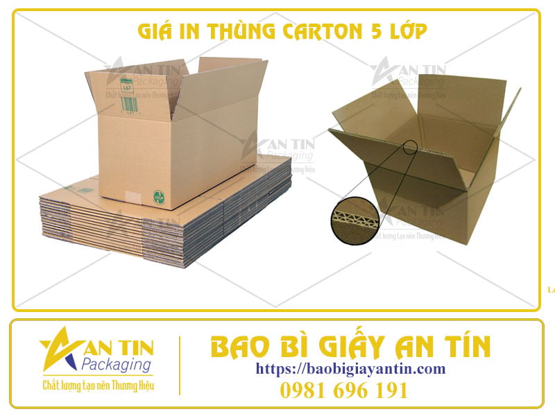 Chỉ Với 1 Bước – Nhận Báo Giá In Thùng Carton 5 Lớp Miễn Phí
