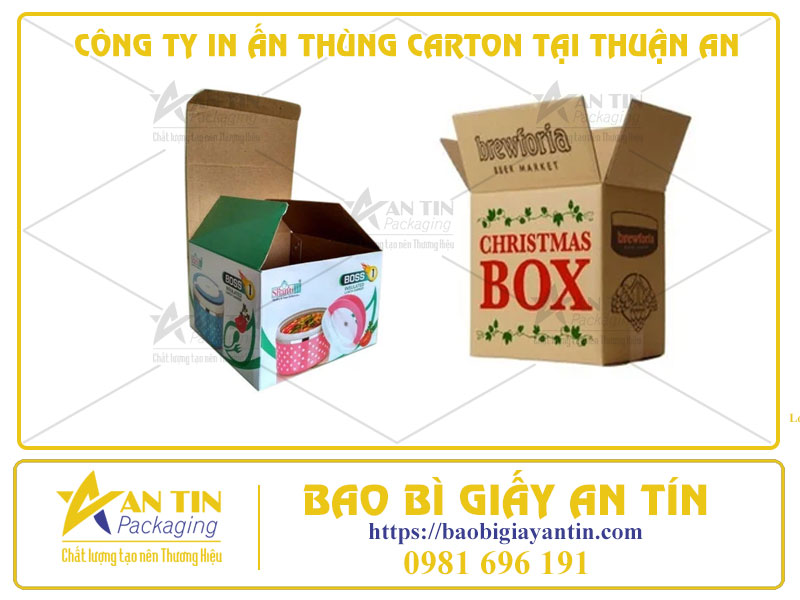 Công Ty In Ấn Thùng Carton Tại Thuận An - Công Nghệ Flexo Và Offset Chất Lượng Cao