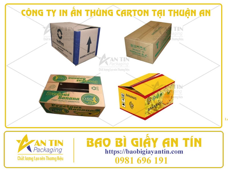 CÔNG TY IN ẤN THÙNG CARTON TẠI THUẬN AN – CÔNG NGHỆ FLEXO VÀ OFFSET CHẤT LƯỢNG CAO