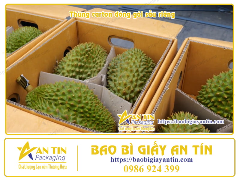 Đặt thùng đóng gói Sầu riêng