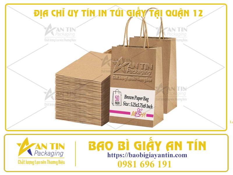 ĐỊA CHỈ UY TÍN IN TÚI GIẤY TẠI QUẬN 12 – SẢN PHẨM CHẤT LƯỢNG VỚI GIÁ XƯỞNG