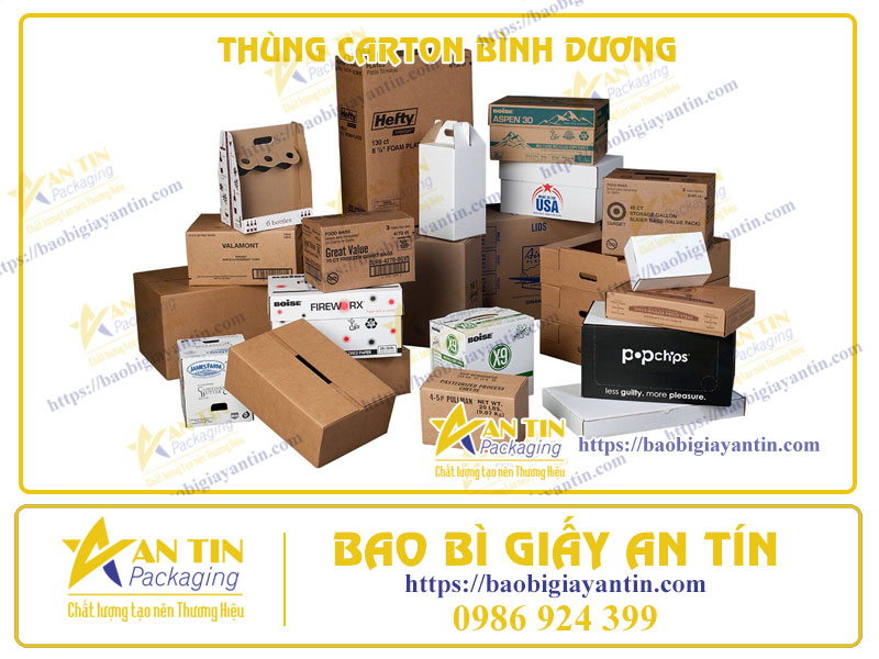 ĐỐI TÁC TIN CẬY CHO THÙNG CARTON TẠI BÌNH DƯƠNG: CHẤT LƯỢNG ĐẢM BẢO, DỊCH VỤ TUYỆT HẢO!