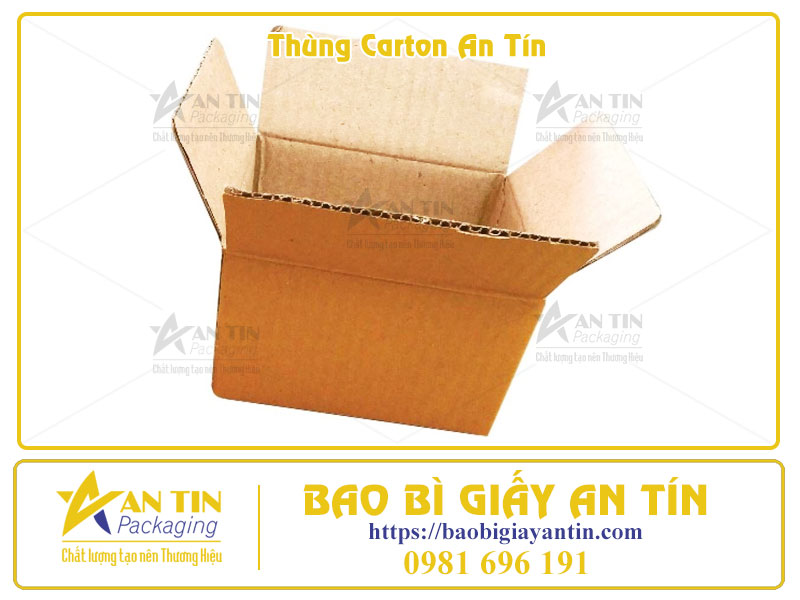 Giải Đáp Mọi Thắc Mắc Về Thùng Carton Từ A-Z Cho Khách Hàng