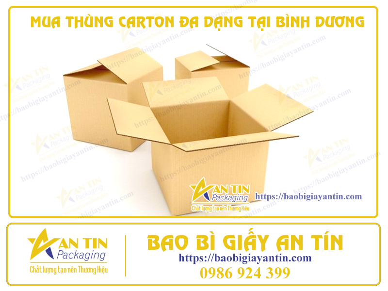 GIẢI PHÁP ĐÓNG GÓI THÔNG MINH: MUA THÙNG CARTON ĐA DẠNG TẠI BÌNH DƯƠNG!